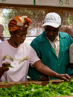 Protecting Workers, Protecting Markets: GBV prevention must be a business priority