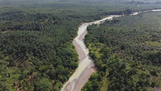 Convening a Sustainable Palm Oil Landscape in Aceh, Indonesia