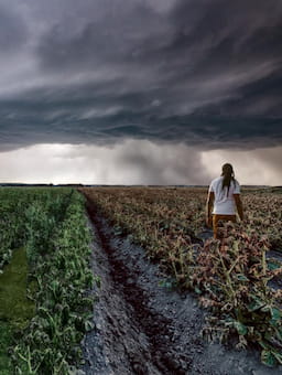 Feeling confused about how to increase climate resilience in the food system? Five truths that can guide us towards effective action