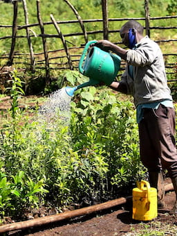 Decade of convening landscape initiatives