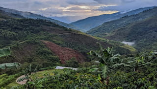 What we’re learning from blended finance in sustainable land use