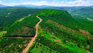 The answer to rising agri-food supply risks? Get horizontal with your peers