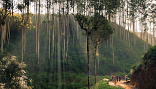 Aligning for impact: Collaborative climate solutions for agri-food regions