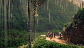 Investing in supply chain resilience