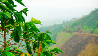 IDH Farmfit Fund commits USD 10m to unlock trade finance for coffee and cocoa producer organisations in Latin America and the Caribbean