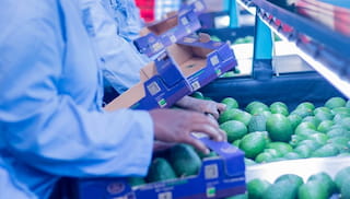Living Wage due diligence under the CSDDD