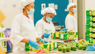 From human rights to business resilience: Growing momentum for living wages