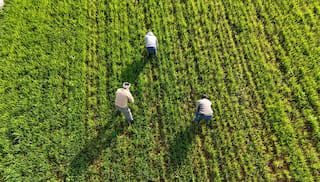 Scalable Data-Sharing Frameworks Supporting Financial Access for Smallholder Farmers