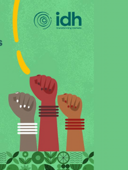 Gender Transformative Approaches in Agricultural Value Chains - Webinar