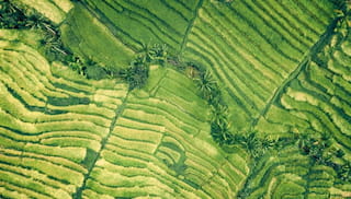 Call for proposals: end-term evaluation of IDH's ISLA program (2021–2025)