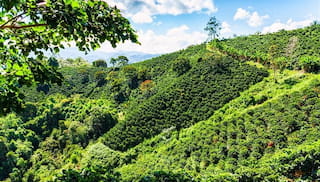 New evaluation results from the Colombia Living Income Program