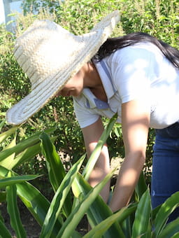 Unlocking Potential to Advance Performance in Brazilian Value Chains