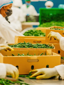 Prioritising social good can lead to shared prosperity