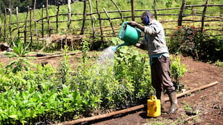 Decade of convening landscape initiatives