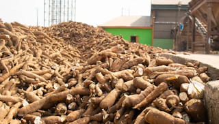 Podcast: Can the block farming model help us make progress towards food systems transformation?