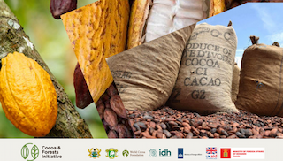 Cocoa & Forests Initiative Releases Annual Reports: Overcoming Challenges and Driving Sustainable Change