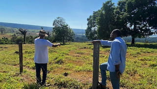 Program puts calf producers at the forefront of livestock transformation