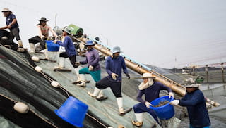 Reducing the Environmental Footprint of the Aquaculture Industry in the Mekong Delta