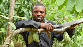 DISCO Annual Report 2024