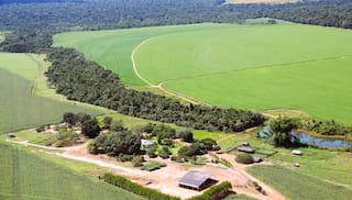 European Soy Monitor 2021