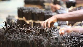 Sustainable Vanilla Initiative releases new safeguarding videos to address child labour in Madagascar
