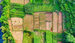 Companies deepen supplier relationships as food chains strain under global crises