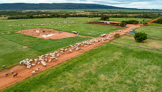 Investing in the ecosystem: Financing forest protection and inclusive growth