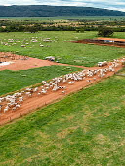 Investing in the ecosystem: Financing forest protection and inclusive growth